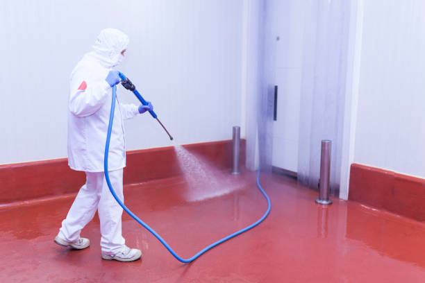 Best Concrete Sealing  in Pecan Plantation, TX